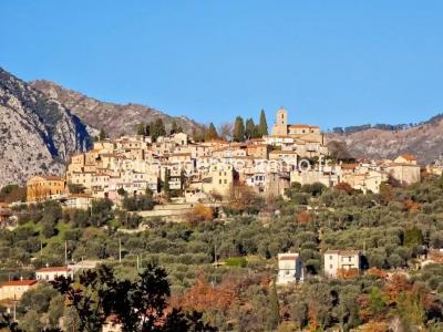 For sale Coaraze 10567 m2 Alpes Maritimes (06390) photo 0