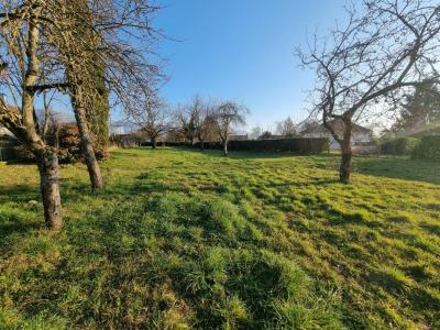 Annonce Vente Terrain Saint-verand 38