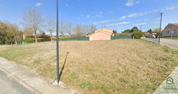 Annonce Vente Terrain Villenouvelle 31