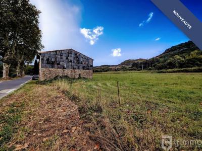 For sale Saint-gervais-sur-mare 5765 m2 Herault (34610) photo 0