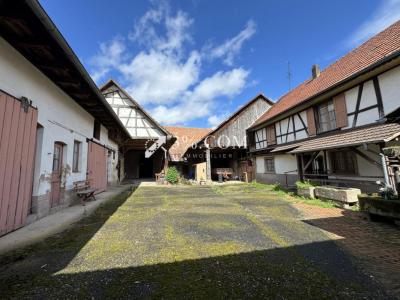 Acheter Maison 180 m2 Waltenheim-sur-zorn