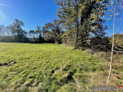 For sale Sainte-marguerite 11900 m2 Vosges (88100) photo 1