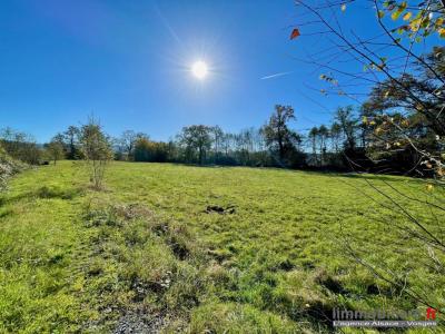 For sale Sainte-marguerite 11900 m2 Vosges (88100) photo 2