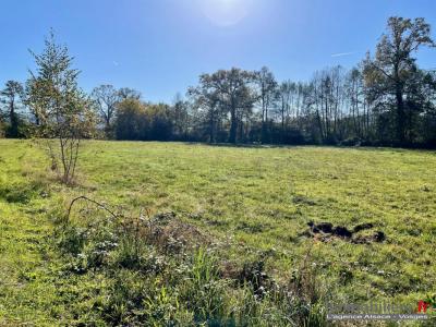 For sale Sainte-marguerite 11900 m2 Vosges (88100) photo 3