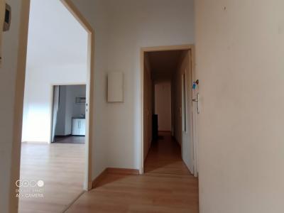 Annonce Location 4 pices Appartement Saint-pons-de-thomieres 34