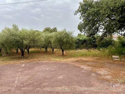 Annonce Vente Terrain Puget-sur-argens 83