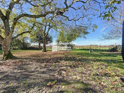 Acheter Maison Fronsac Gironde