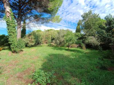 For sale Muy 800 m2 Var (83490) photo 0