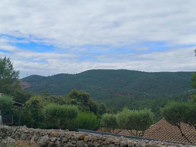 Acheter Maison Ollioules Var