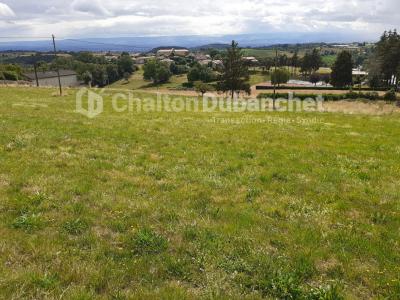 Annonce Vente Terrain Montchal 42