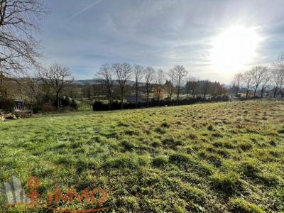 For sale Tence 1593 m2 Haute loire (43190) photo 1