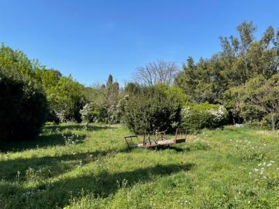 For sale Salon-de-provence 550 m2 Bouches du Rhone (13300) photo 4