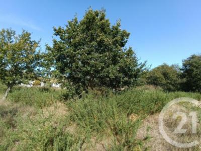 For sale Talais 978 m2 Gironde (33590) photo 2