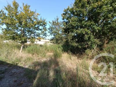 For sale Talais 978 m2 Gironde (33590) photo 3