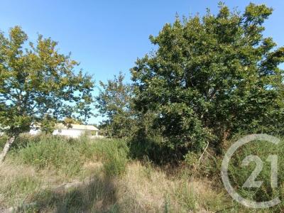 For sale Talais 978 m2 Gironde (33590) photo 4