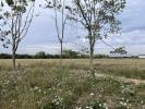 For sale Land Bonnoeuvre VRITZ 650 m2