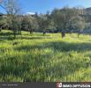 For sale Land Mages CENTRE VILLAGE 990 m2