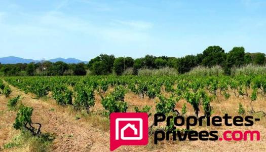 For sale Vidauban 8 rooms 226 m2 Var (83550) photo 0