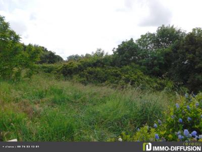 Annonce Vente Terrain  85