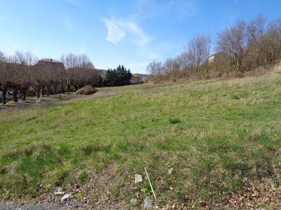 For sale Saint-germain-laprade 691 m2 Haute loire (43700) photo 2