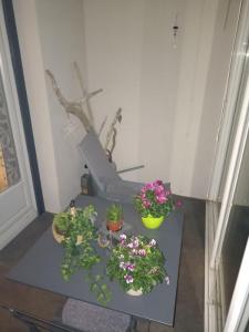 For sale Donzere 4 rooms 71 m2 Drome (26290) photo 1