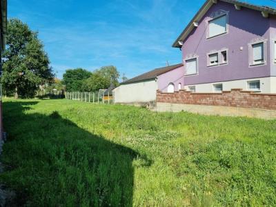 For sale Buhl 925 m2 Bas rhin (67470) photo 2