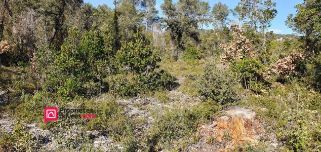 For sale Uzes 1050 m2 Gard (30700) photo 1