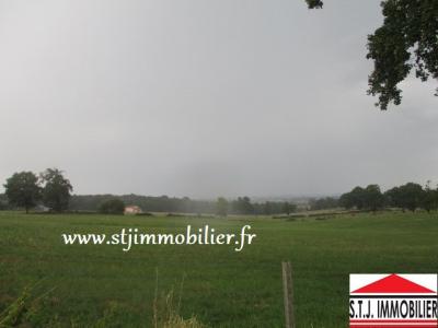 Acheter Terrain 2000 m2 Saint-junien