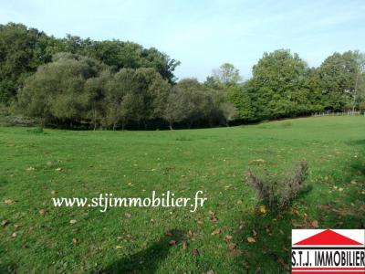 For sale Saint-martin-de-jussac 2000 m2 Haute vienne (87200) photo 0