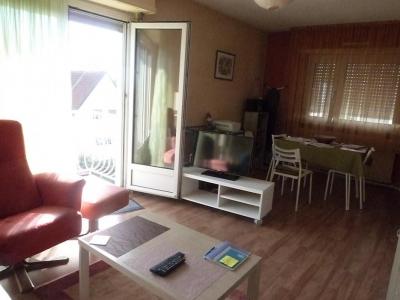 Annonce Location 2 pices Appartement Haguenau 67