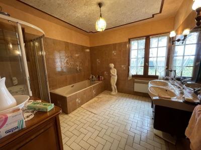 For sale Selle-sur-le-bied 9 rooms 253 m2 Loiret (45210) photo 3