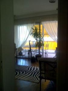 For rent Antibes 2 rooms 60 m2 Alpes Maritimes (06600) photo 1