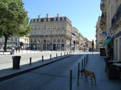 For rent Bordeaux 2 rooms 25 m2 Gironde (33000) photo 0