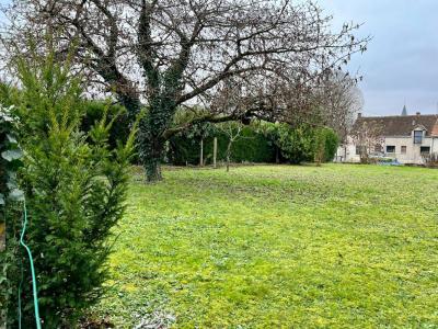 For sale Coulommiers-la-tour 550 m2 Loir et cher (41100) photo 2