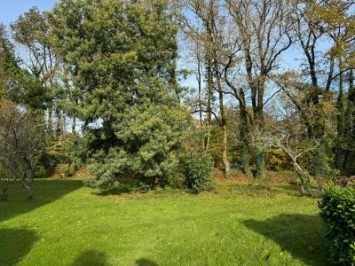 For sale Pluvigner 4 rooms 93 m2 Morbihan (56330) photo 3