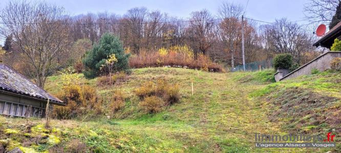 Annonce Vente Terrain Wildersbach 67