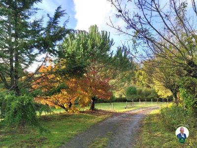 For sale Bourrou 4 rooms 134 m2 Dordogne (24110) photo 0