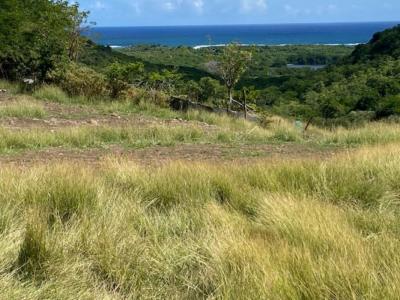 For sale Marin 970 m2 Martinique (97290) photo 0