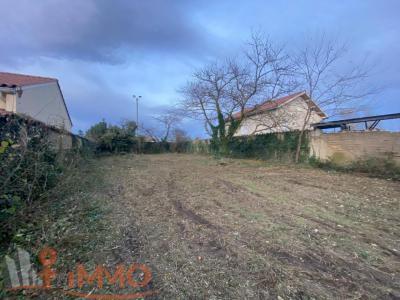 Annonce Vente Terrain Champdieu 42