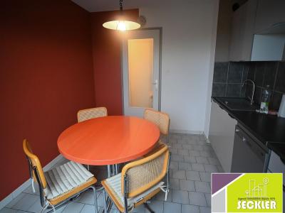 Louer Appartement 53 m2 Colmar