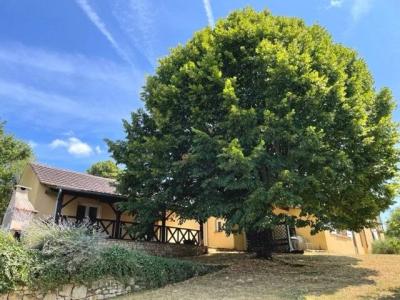 For sale Domme DOMME 8 rooms 160 m2 Dordogne (24250) photo 0