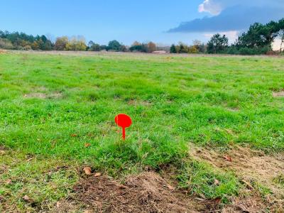 For sale Laruscade 830 m2 Gironde (33620) photo 0