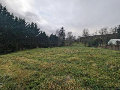 Acheter Terrain Puessans 25000 euros