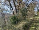 For sale Forested aera Saint-pierre-de-clairac  32767 m2