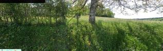 For sale Land Saint-germain-du-salembre 