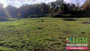 For sale Land Segura  3200 m2