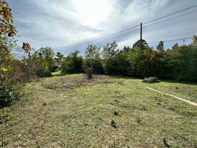 Annonce Vente Terrain Souppes-sur-loing 77