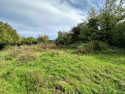 Acheter Terrain Souppes-sur-loing 65000 euros