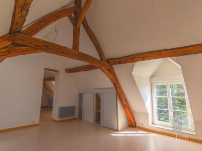 For sale Boigny-sur-bionne 6 rooms 358 m2 Loiret (45760) photo 2