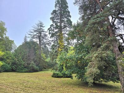 For sale Chancelade 12 rooms 417 m2 Dordogne (24650) photo 3